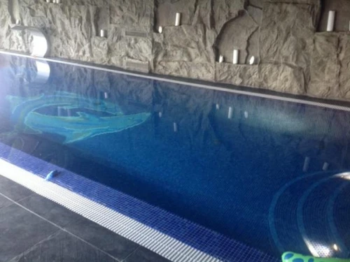 Baseny - realizacje 230