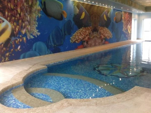 Baseny - realizacje 257